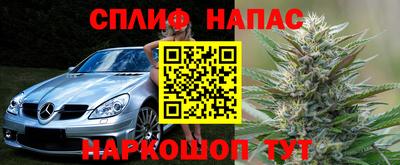 гашик Изобильный