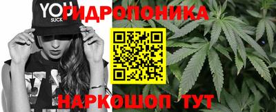 гашик Изобильный