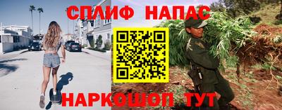 гашик Изобильный