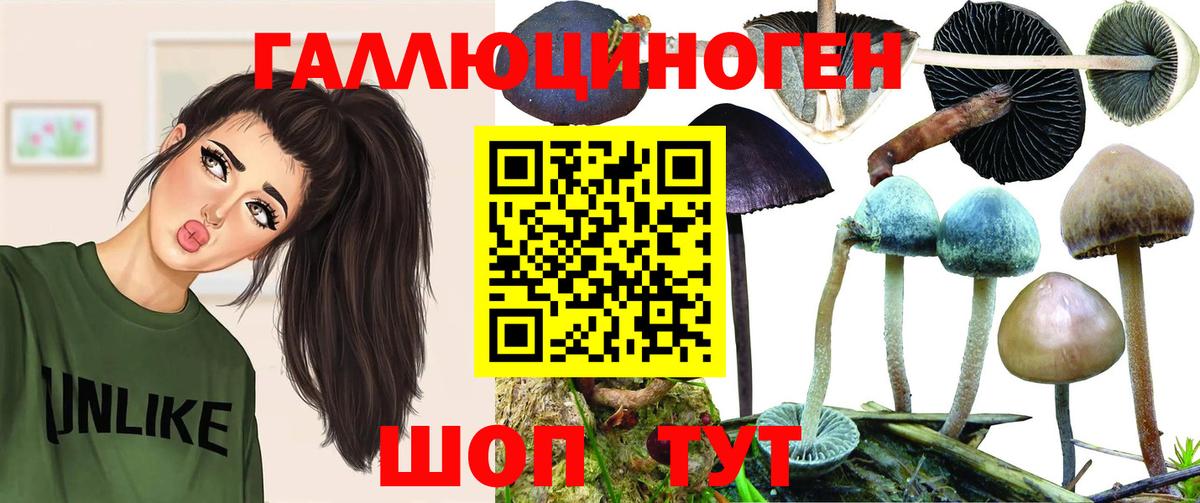 Галлюциногенные грибы Psilocybine cubensis Лангепас